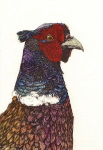 Holly Brookes @ Nature in Art