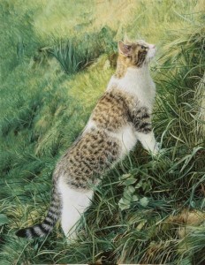 Jacqueline Gaylard @ Nature in Art
