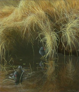 Jeremy Paul @ Nature in Art