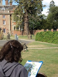 Studies in the Garden in your choice of Medium @ Nature in Art