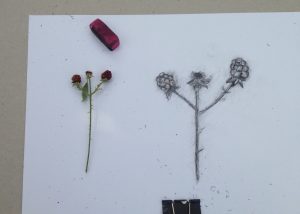 Draw and Explore