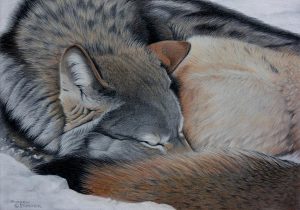 Hard & Soft: Rendering Detail & Texture in Pastel @ Nature in Art
