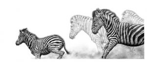 Graphite Pencil Drawing, Iguana @ Nature in Art