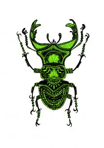 Lime Beetle Print