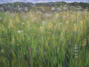 Flowers of the Fields - Rosalind Wise @ Nature in Art