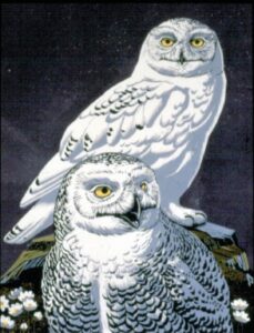Making an Impression - Robert Gillmor Print Retrospective @ Nature in Art