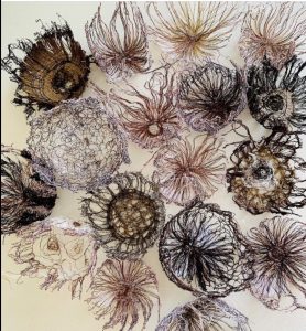 Sense of Place - Midlands Textile Forum