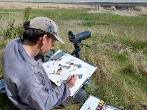 Haunted by the Last Tide, an illustrated talk by Colin Williams and members of the Society of Wildlife Artists (SWLA)