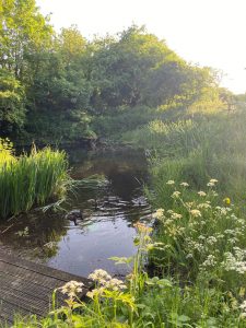 National Garden Scheme Opening