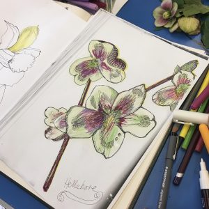Experimental Drawing From Nature with Jo Beal