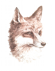 Postcard Portraits