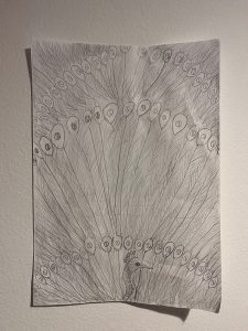 11-peacock-close-up