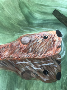 18-Beaver-going-Wild-