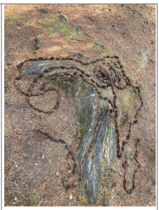 3-The-Grand-Snake-