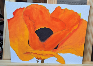 7-orange-poppy