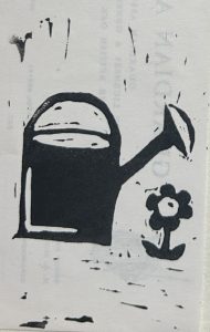 lino (1)